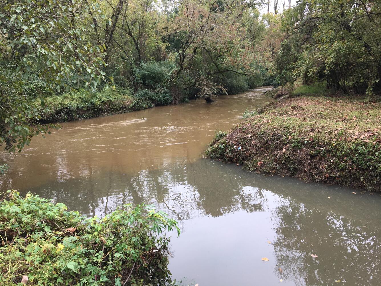 The confluence of Little Rock and Walnut Creek in Raleigh, NC.