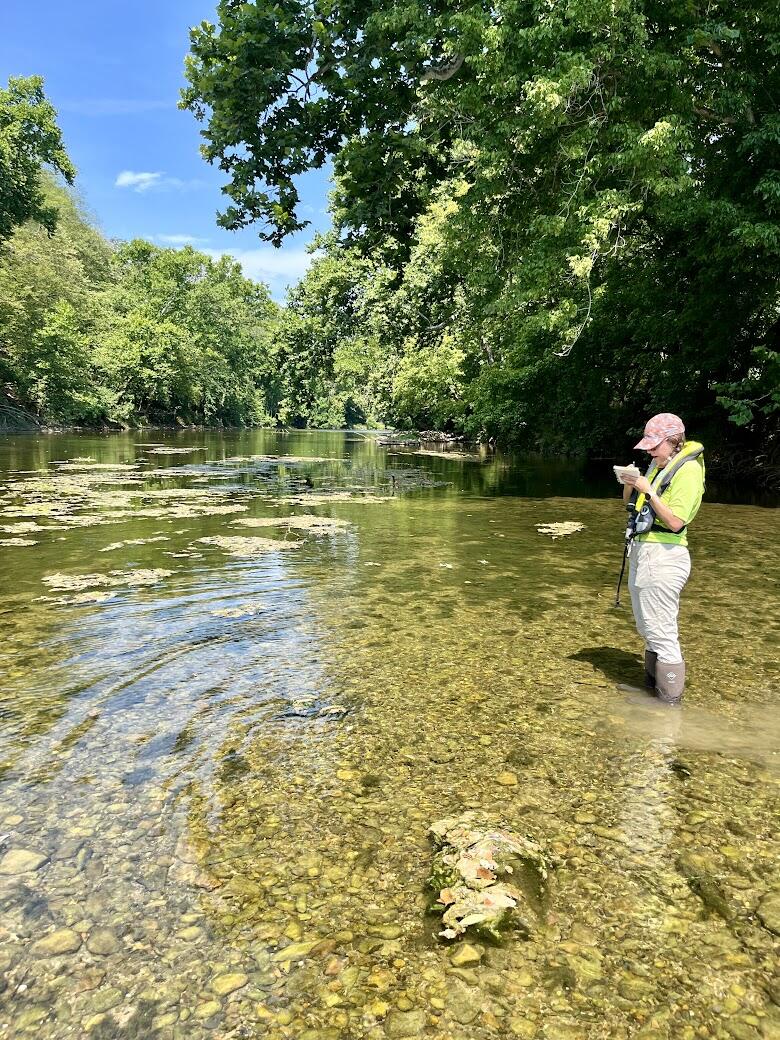 A USGS scientist standing in a river taking notes during a harmful algal bloom event. Mats of algae float in the water nearby.