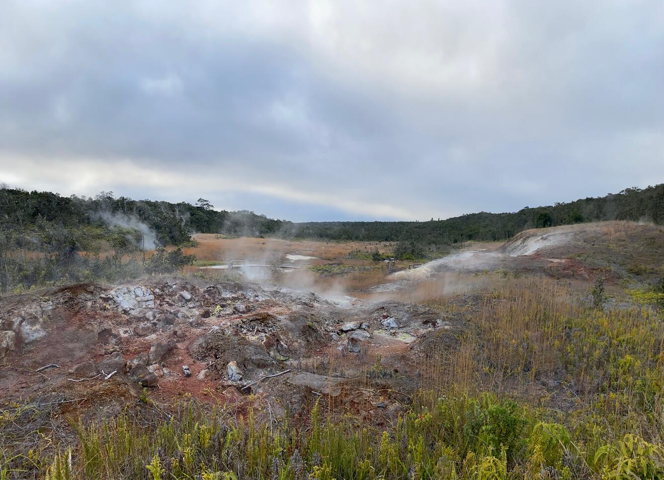Color photograph of altered rock and steaming ground