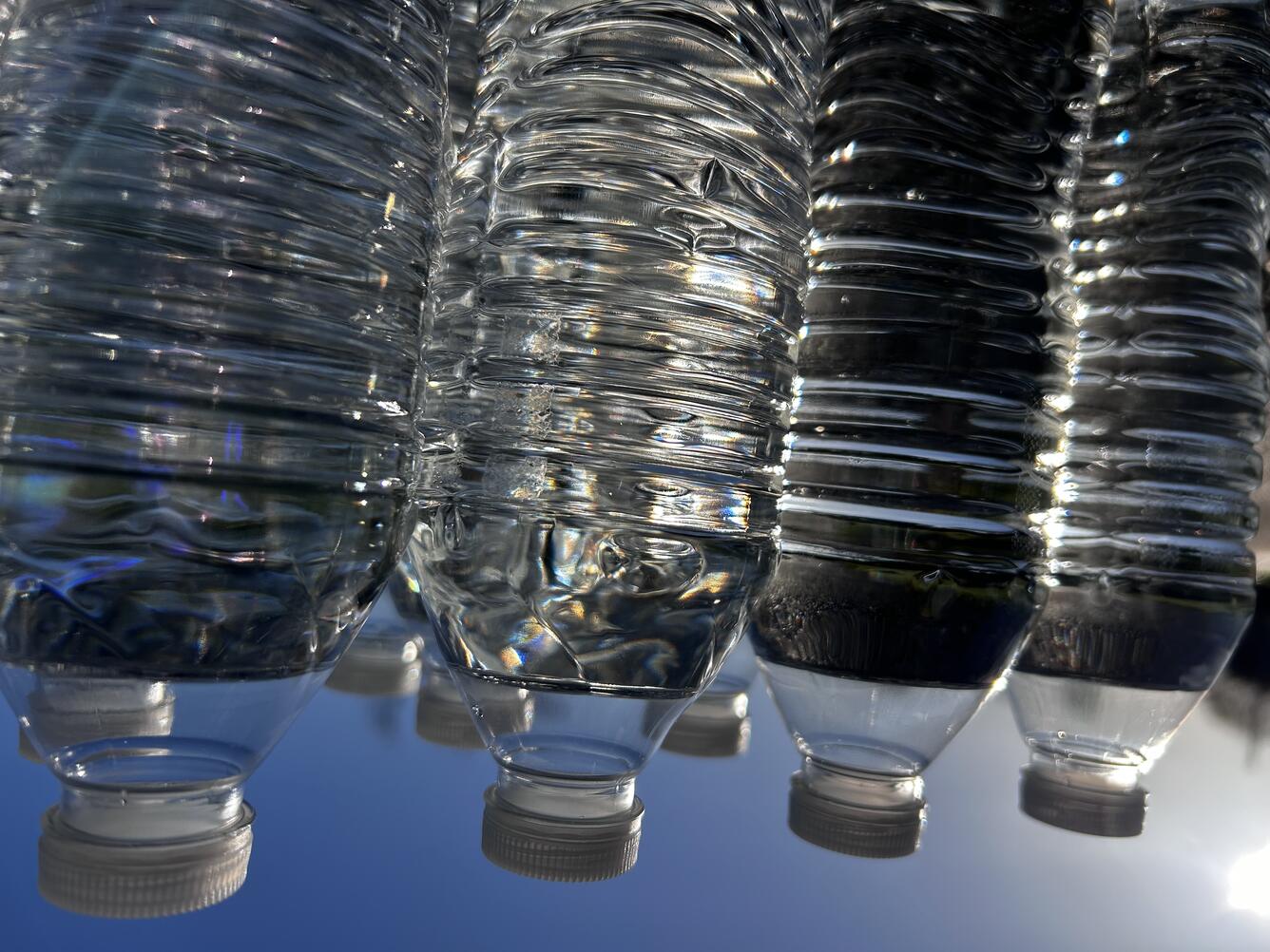 Rows of plastic bottles