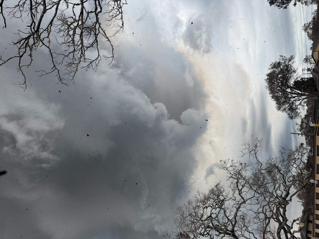 Color photograph of eruption plume with tephra falling