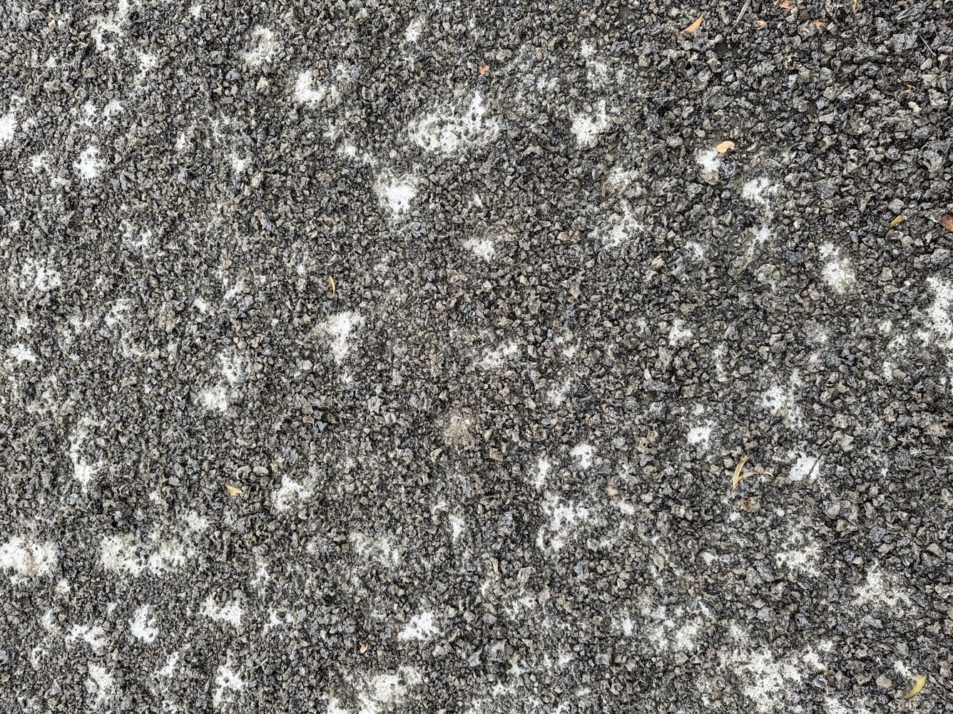 Color photograph of tephra covering paved ground surface