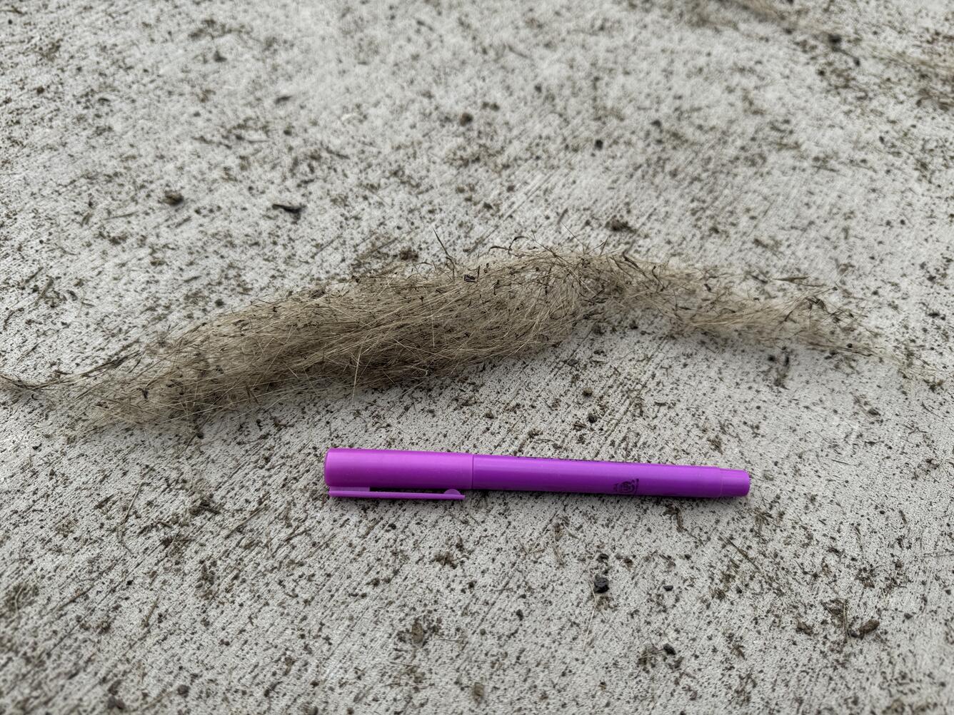 Strands of volcanic glass and ash on the ground with a highlighter for scale