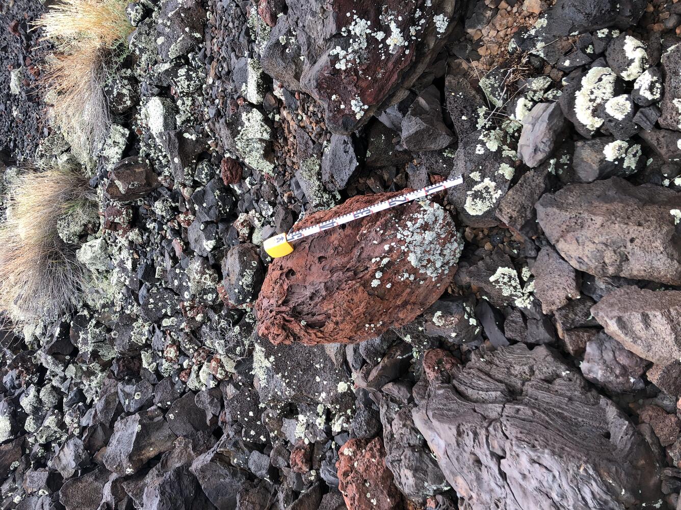 Volcanic bomb near SP crater.