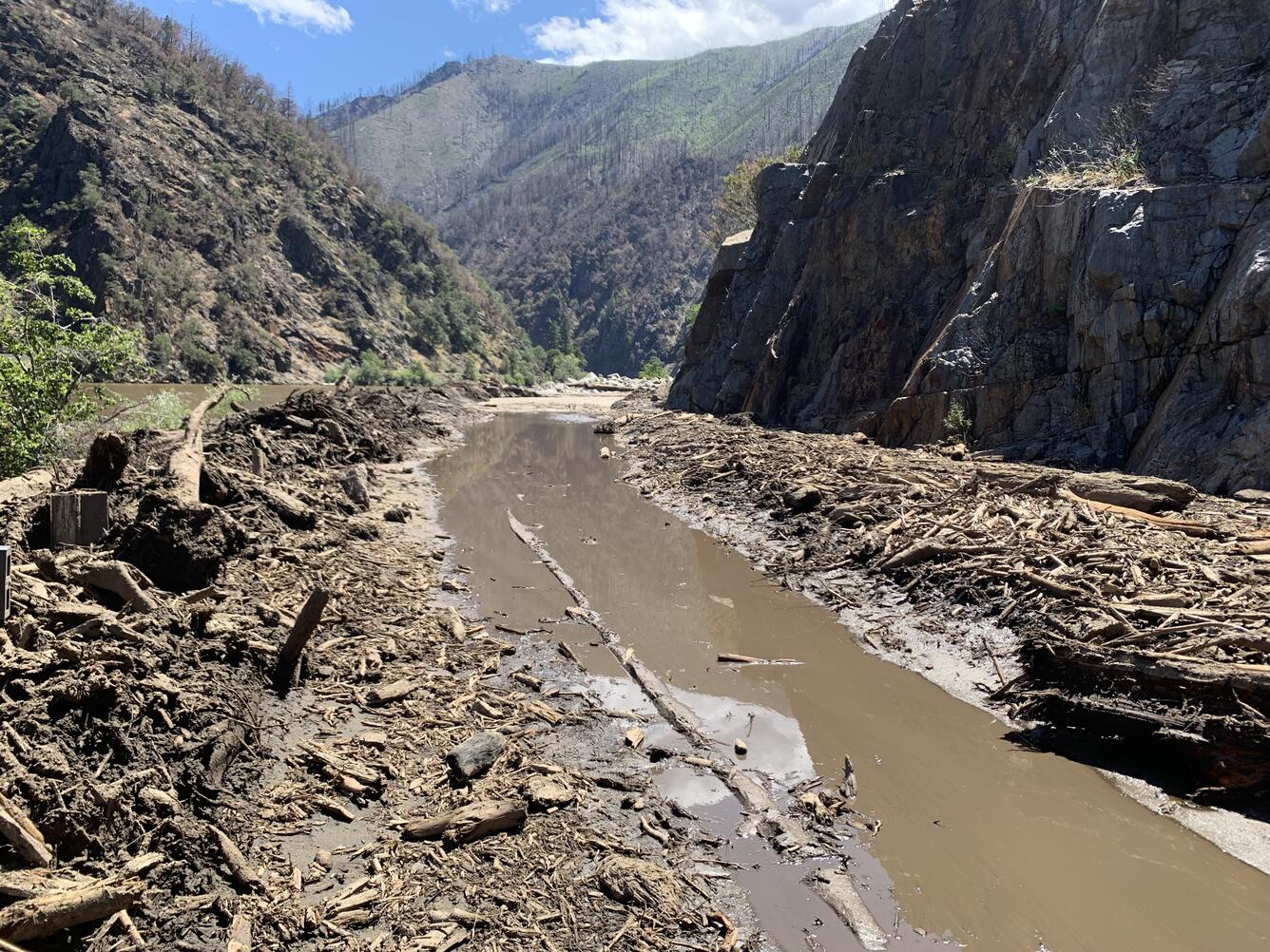 Mud and trees partially filling a river that flows between mountains
