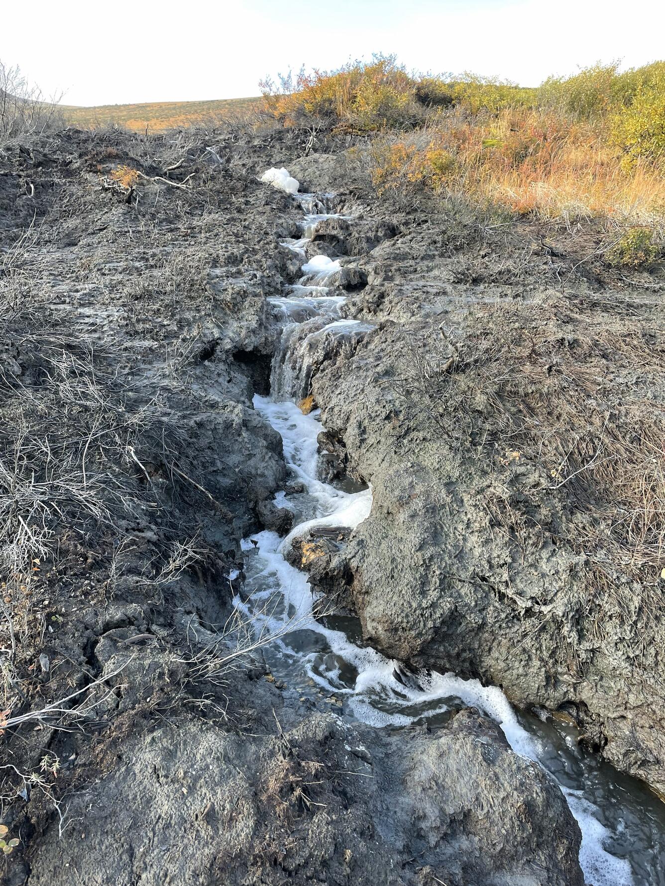 Brown vegetation and a small stream.