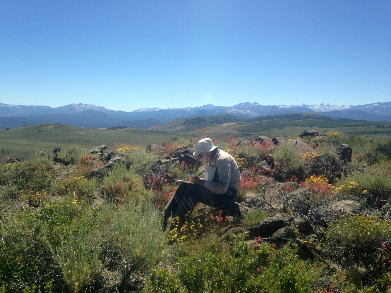 An older geologist with a white beard and wearing khakis and a fisherman's hat sits on a rock in the midst of red and orange wildflowers. In the distance, low rolling hills give way to craggy snow-capped mountains.