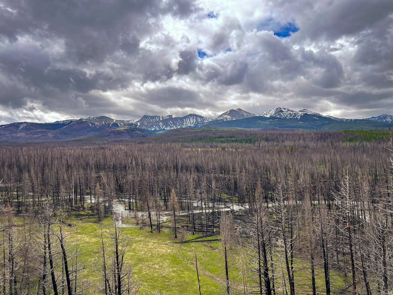 American Fork Fire Burn area with view of mountains in the background 