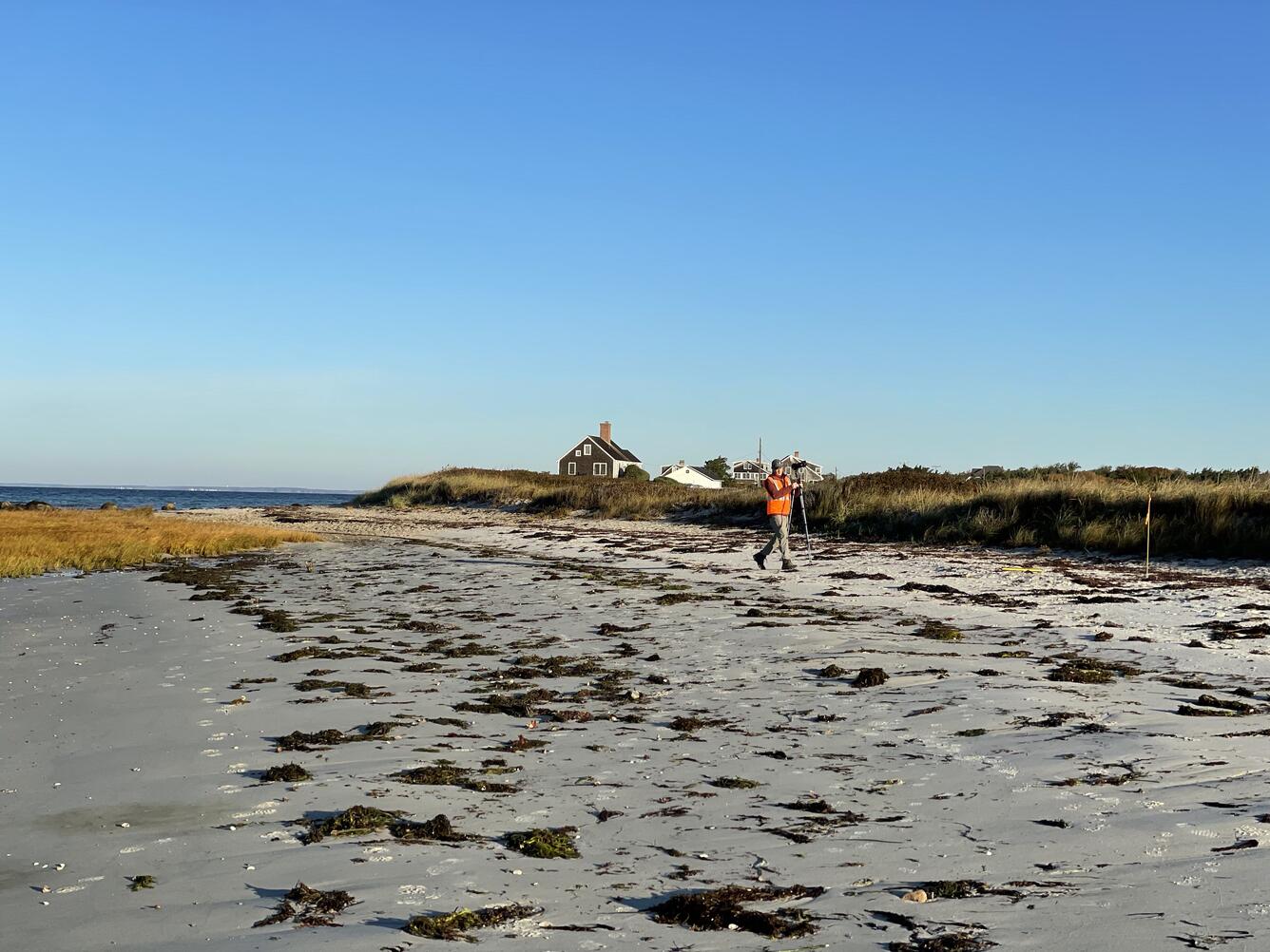 Sky, beach, beach grasses, and person in the background walking