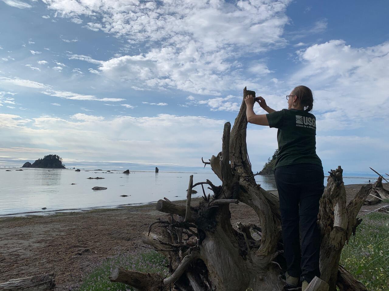 a person wearing a USGS t-shirt attaching a piece of equipment to a tree stump on the beach