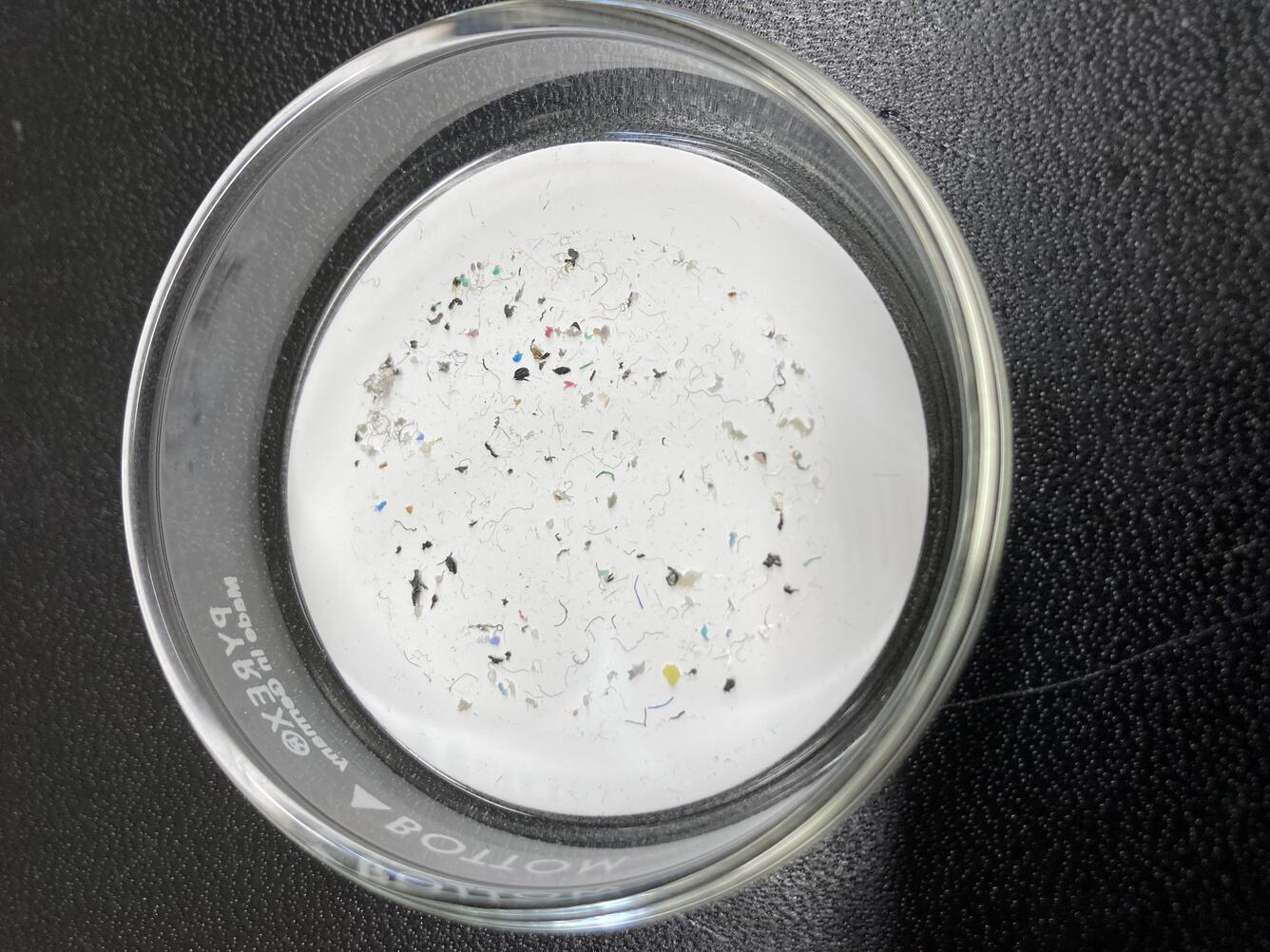 filtered microplastics