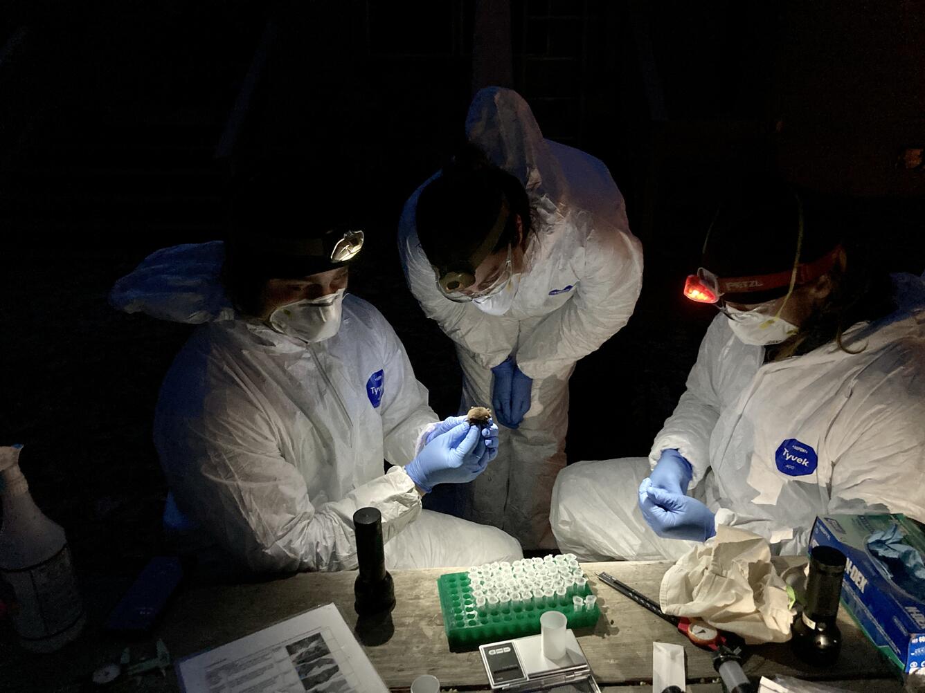 Three people wearing protective gear and headlamps light up a bat held in gloved hands.