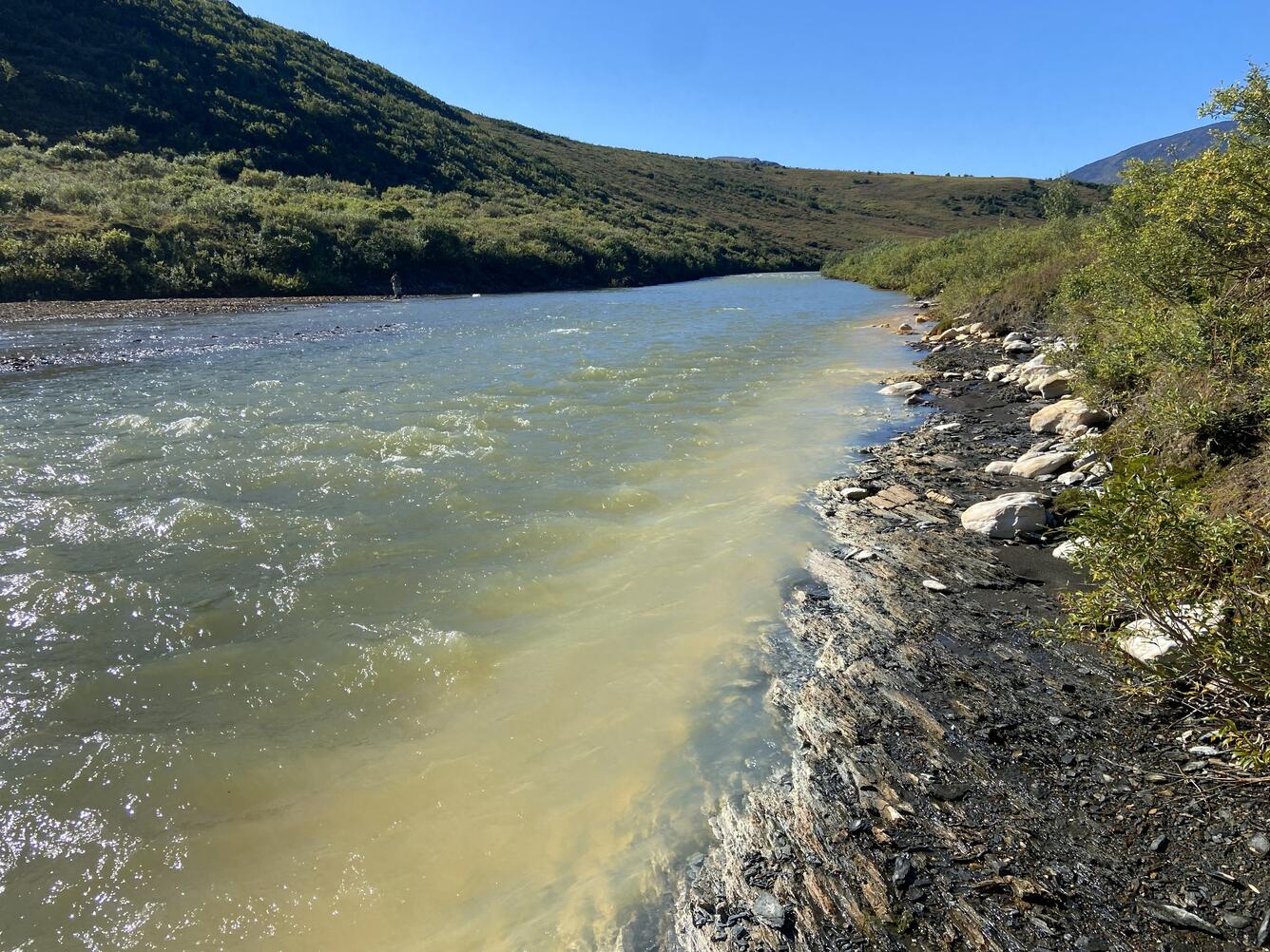 Faint orange creek running through green brush.