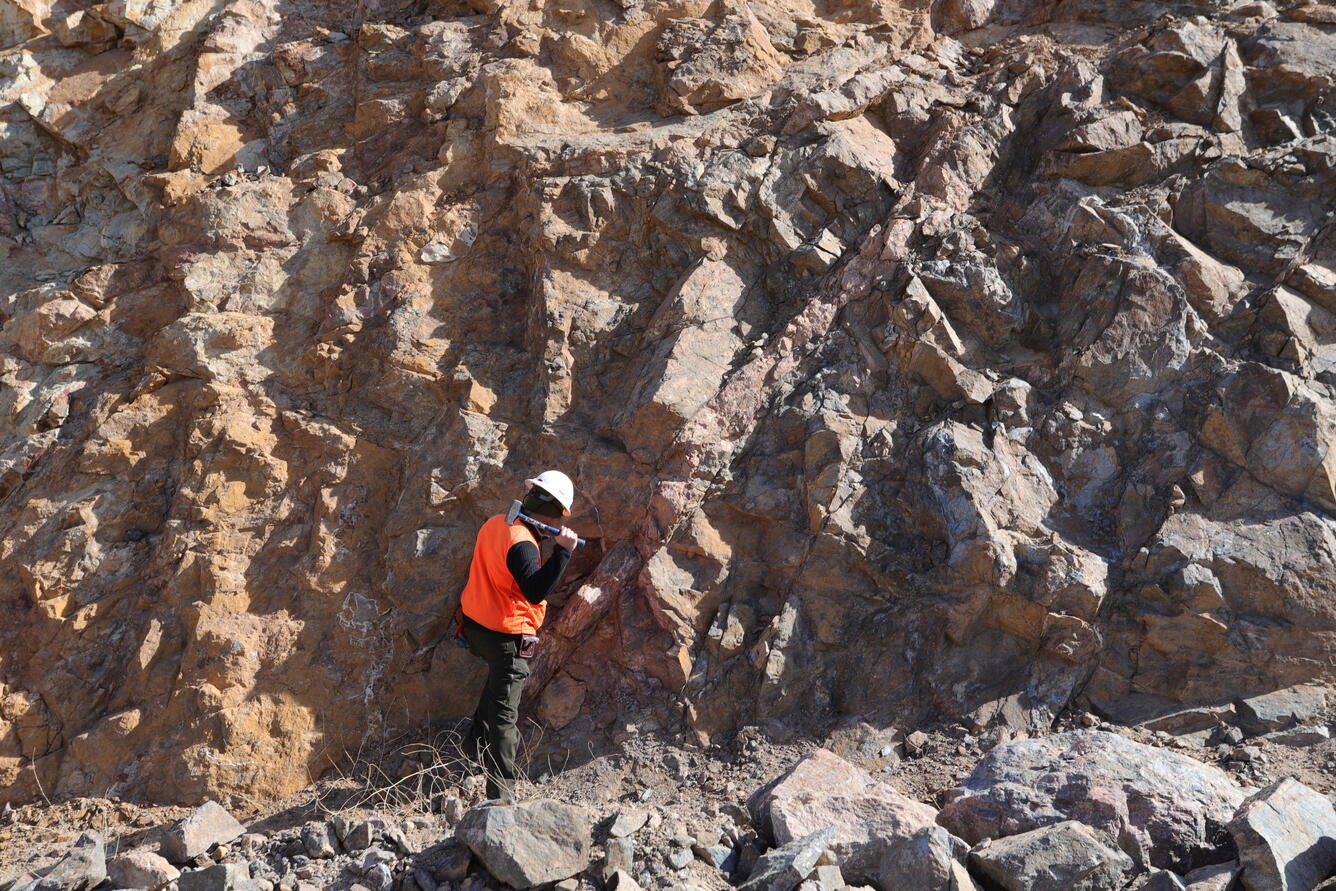 A geologist in an orange vest takes a sample with a rock hammer from an orange and brown rock outcropping.