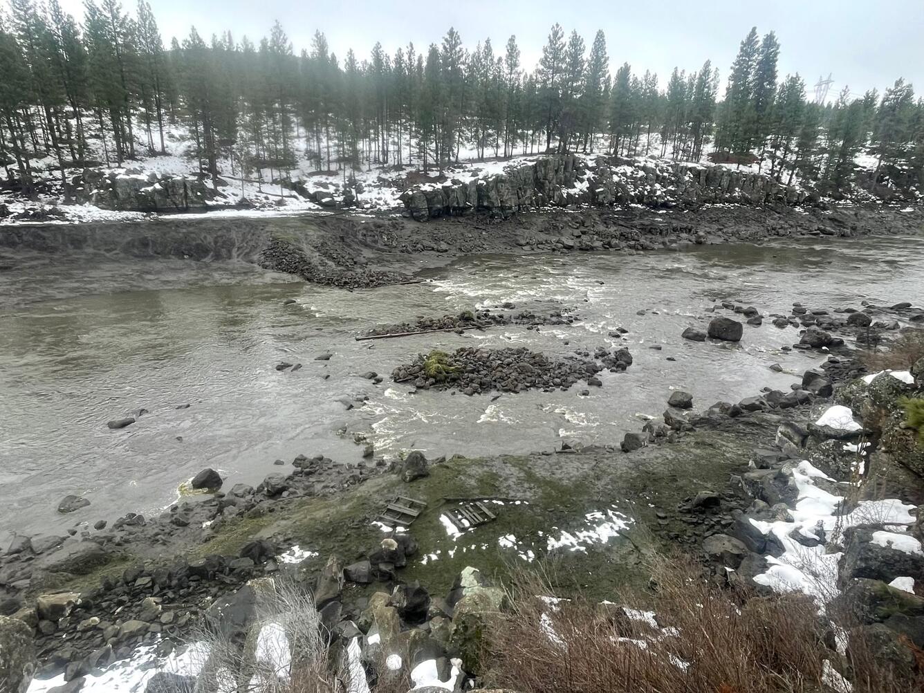 Brown river water flows through muddy rocky snow and tree lined banks