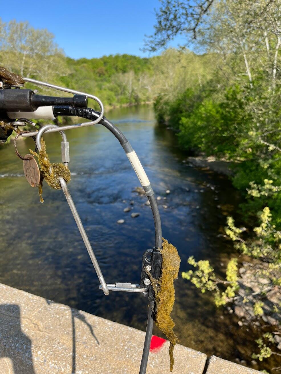 Algae attached to sampling equipment used by the USGS.  