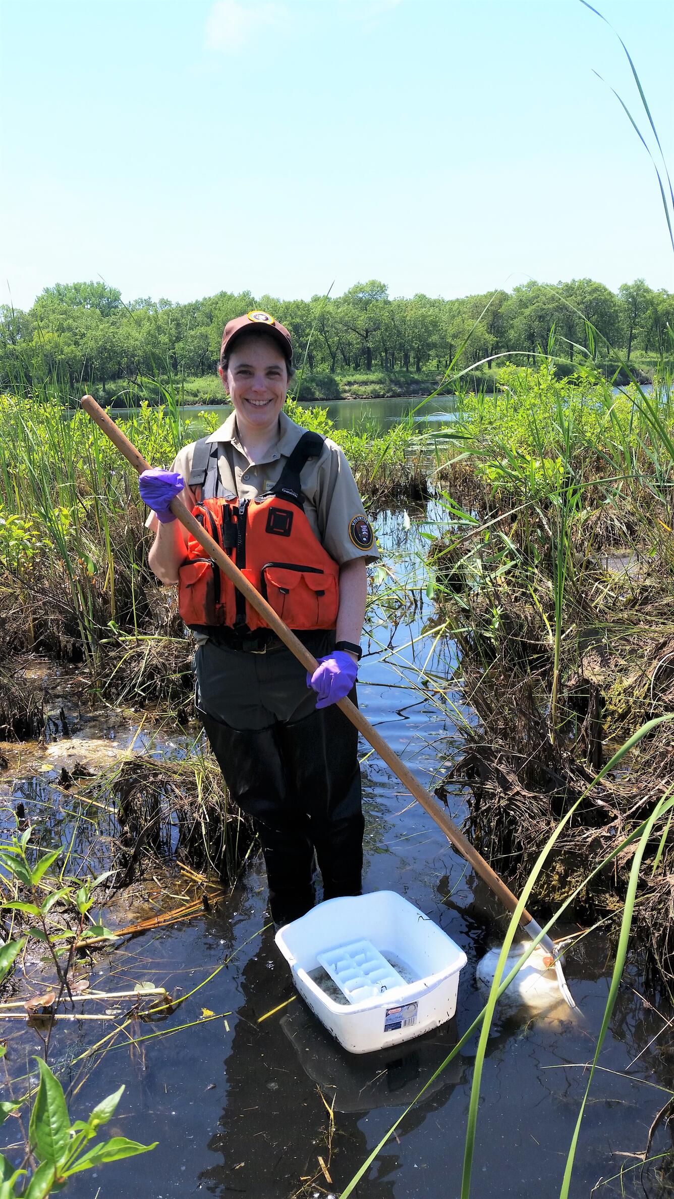 A public participant collects dragonfly larvae samples at Indiana Dunes National Park as part of Dragonfly Mercury Project.