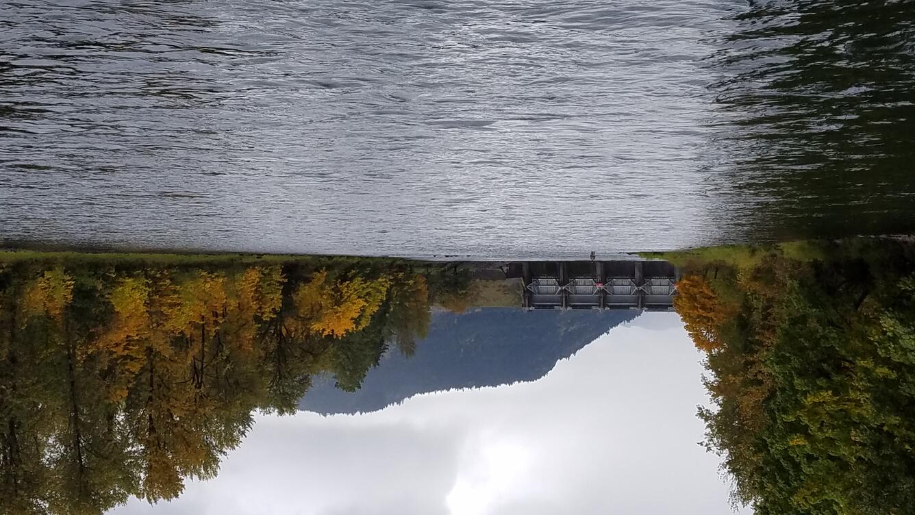 Photograph of the Willamette River below Dexter Dam.