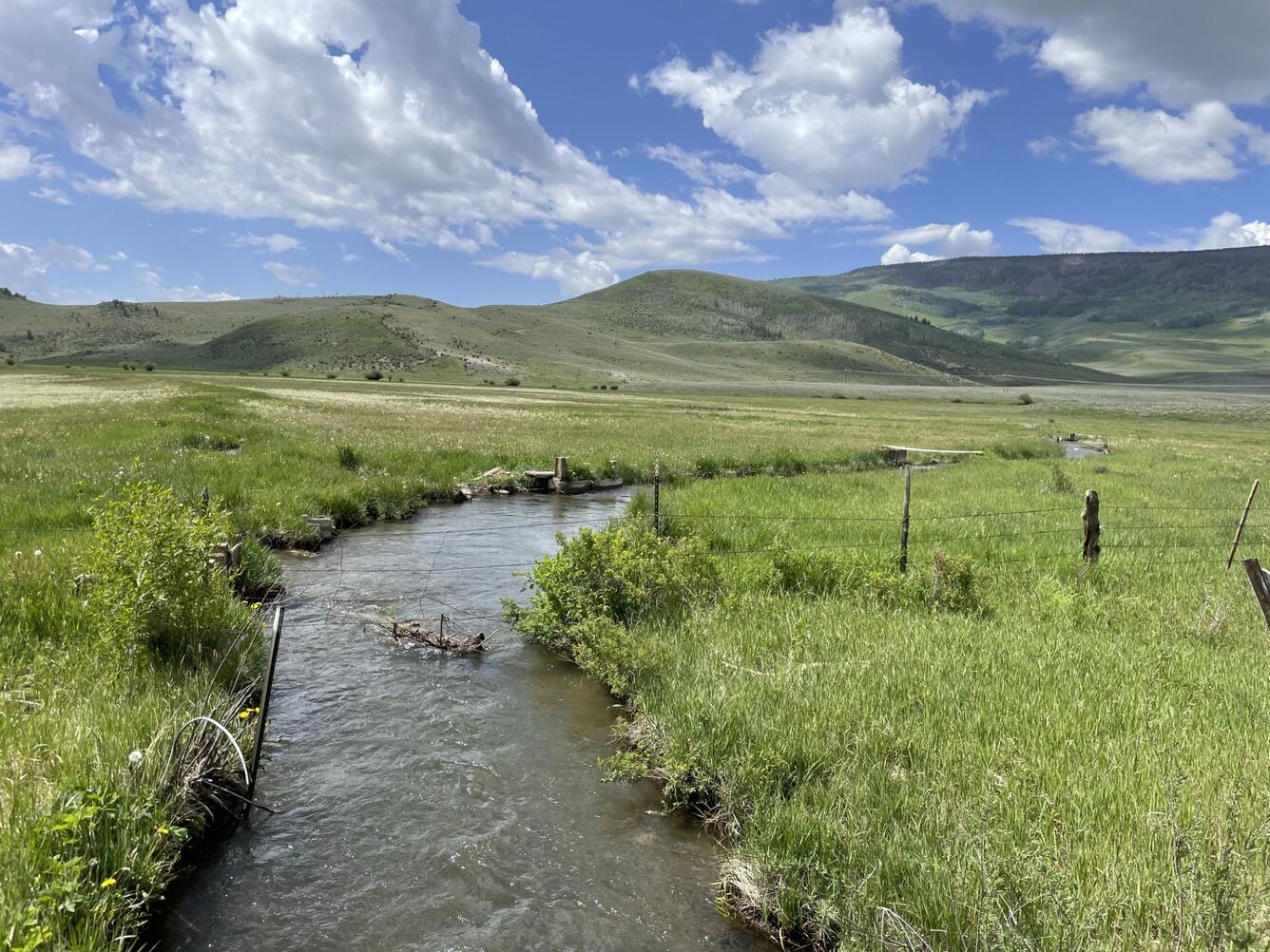 Photo of an irrigation ditch flowing through a pasture in the East River Basin, Colorado