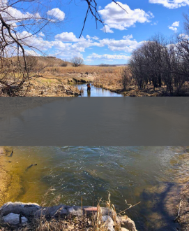 Image of a stream with a blue sky and whit clouds in the horizon with a grey rectangle across the center of the image.