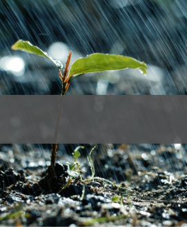 National Atmospheric Deposition Program image card media with grey text box.