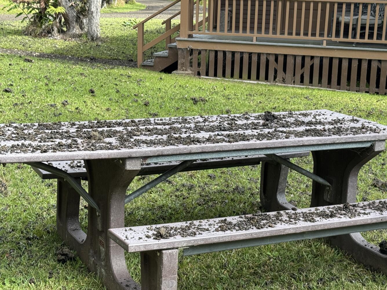 Color photograph of tephra covering a picnic table