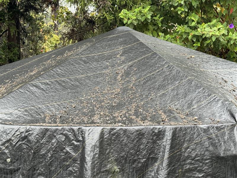 Color photograph of volcanic fallout on water tank