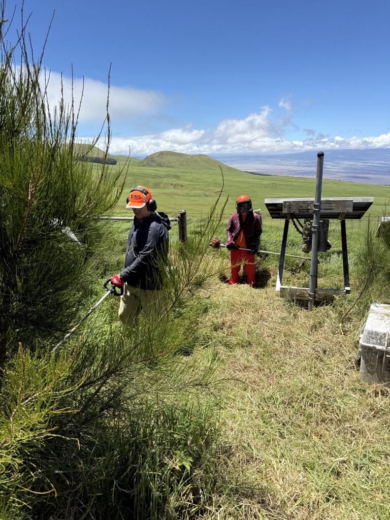 Color photograph of field engineers maintain grounds around volcano monitoring instrumentation