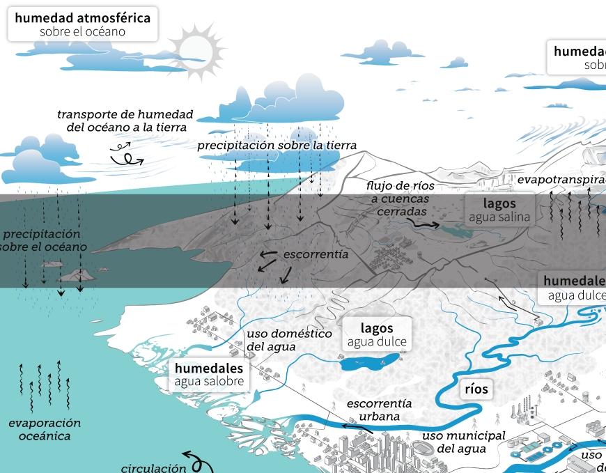 Zoomed in version of the water cycle diagram in english
