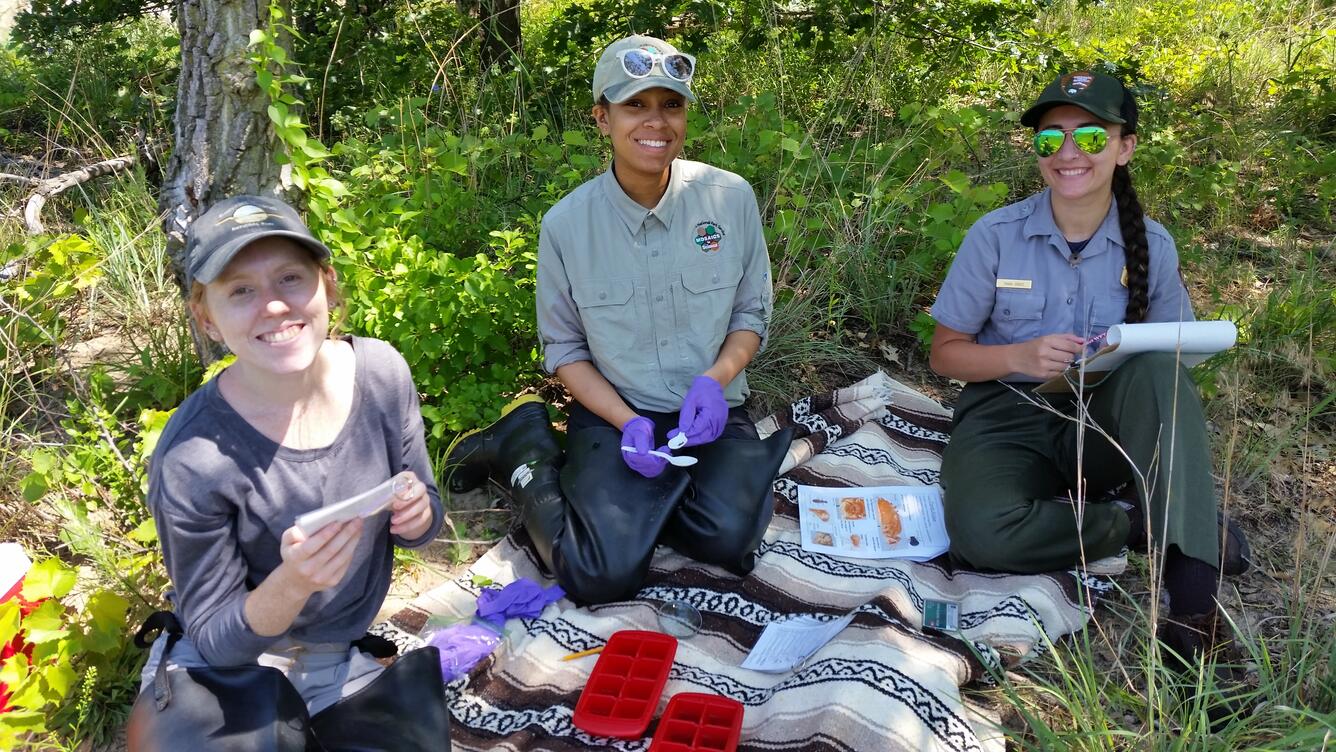 Public participants collect dragonfly larvae samples at Indiana Dunes National Park as part of the Dragonfly Mercury Project.