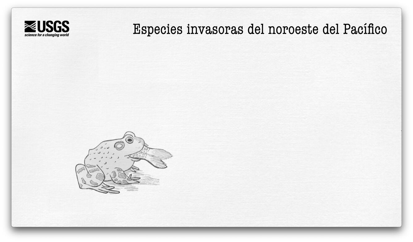 Imagen en miniatura de especies invasoras del noroeste del Pacífico
