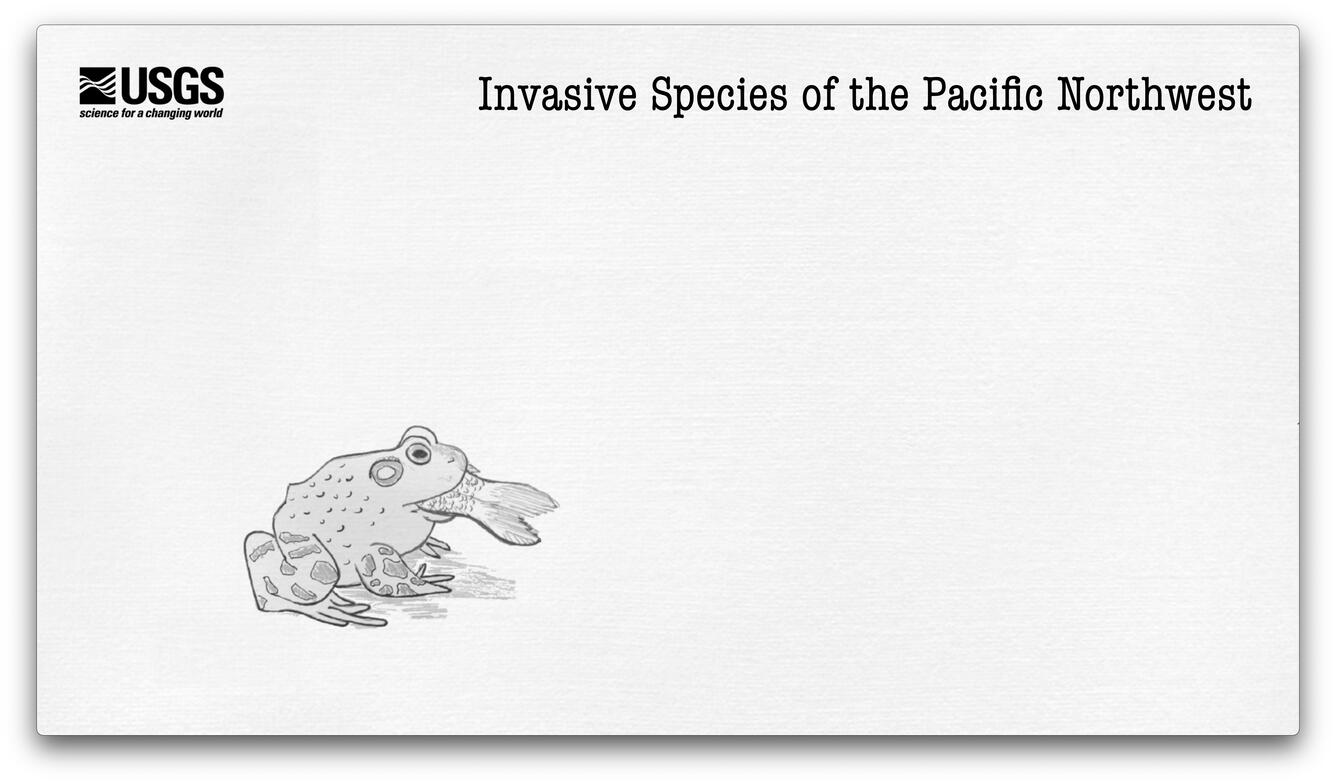 thumbnail invasive species of the pacific northwest