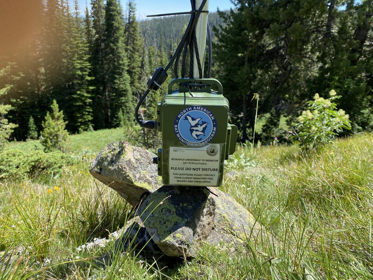 Passive acoustic bat recording device deployed on a boulder in Montana.