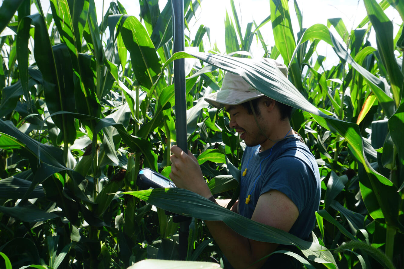 Image of physical scientist with plants in the background