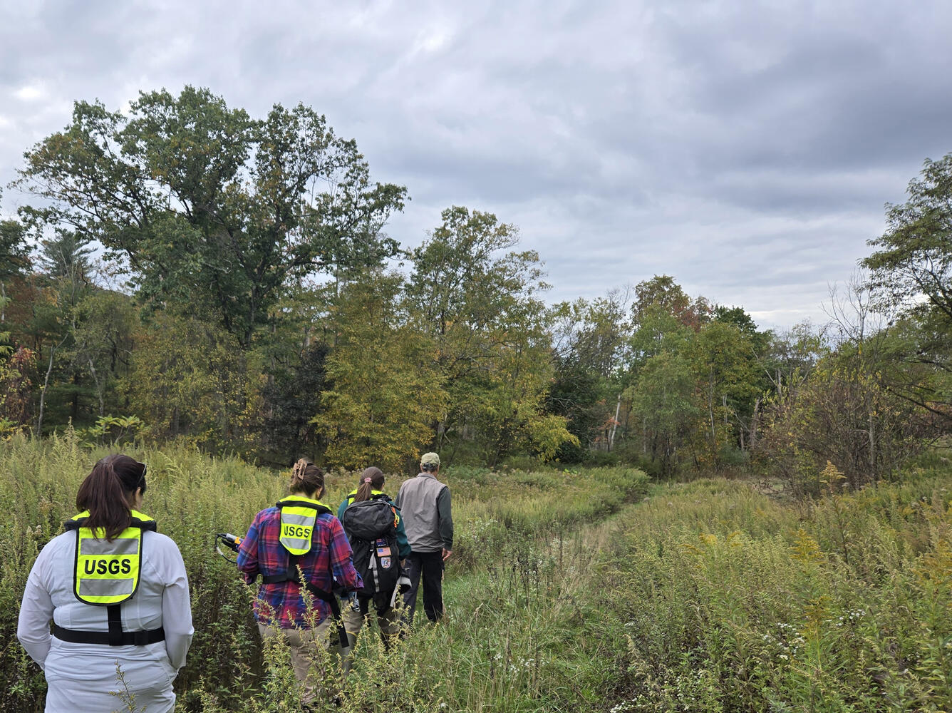 USGS staff walking through tall vegetation during acid mine drainage sampling in PA.