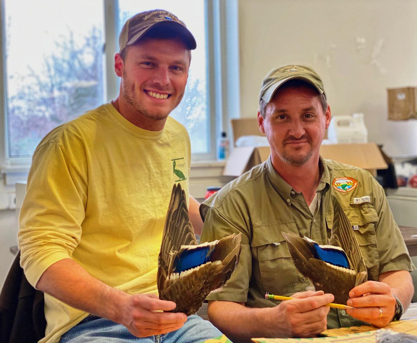 Researchers learning feather identification