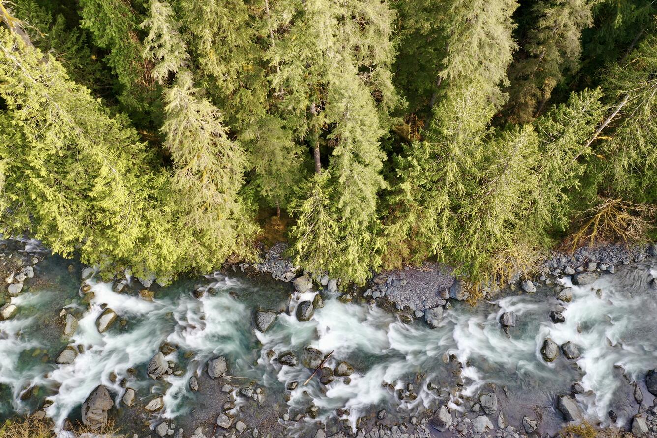 Aerial view of forested river