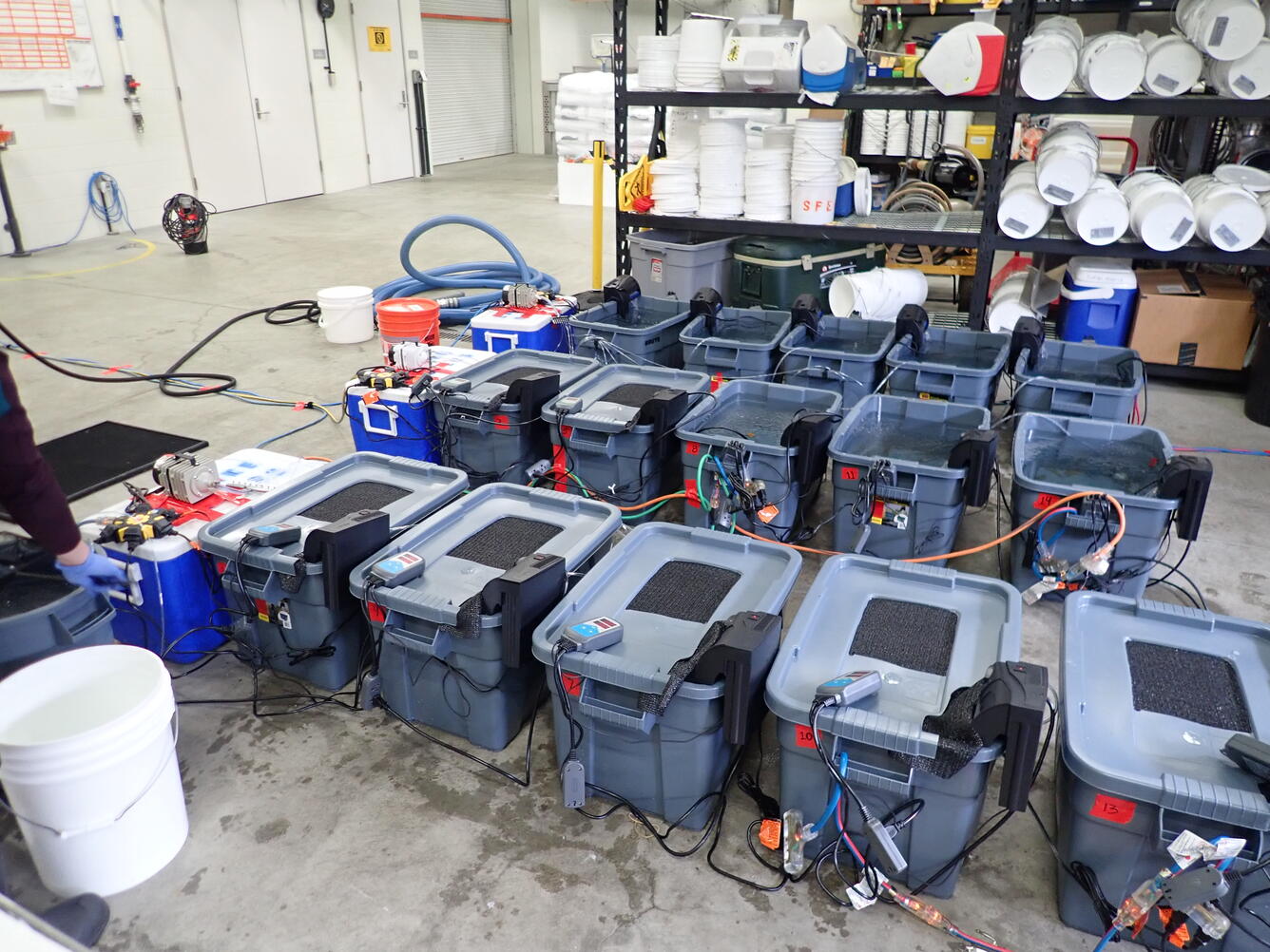 Blue rubber containers with black centers and multicolored wires connecting the containers sitting on a gray floor