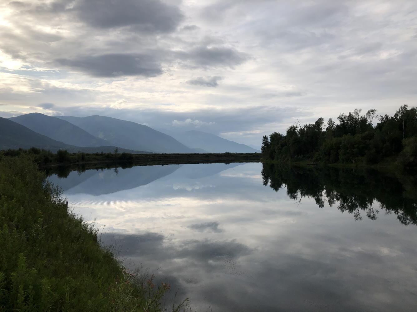 Kootenay River looking upstream from boat launch near Goat River, Creston, BC. 