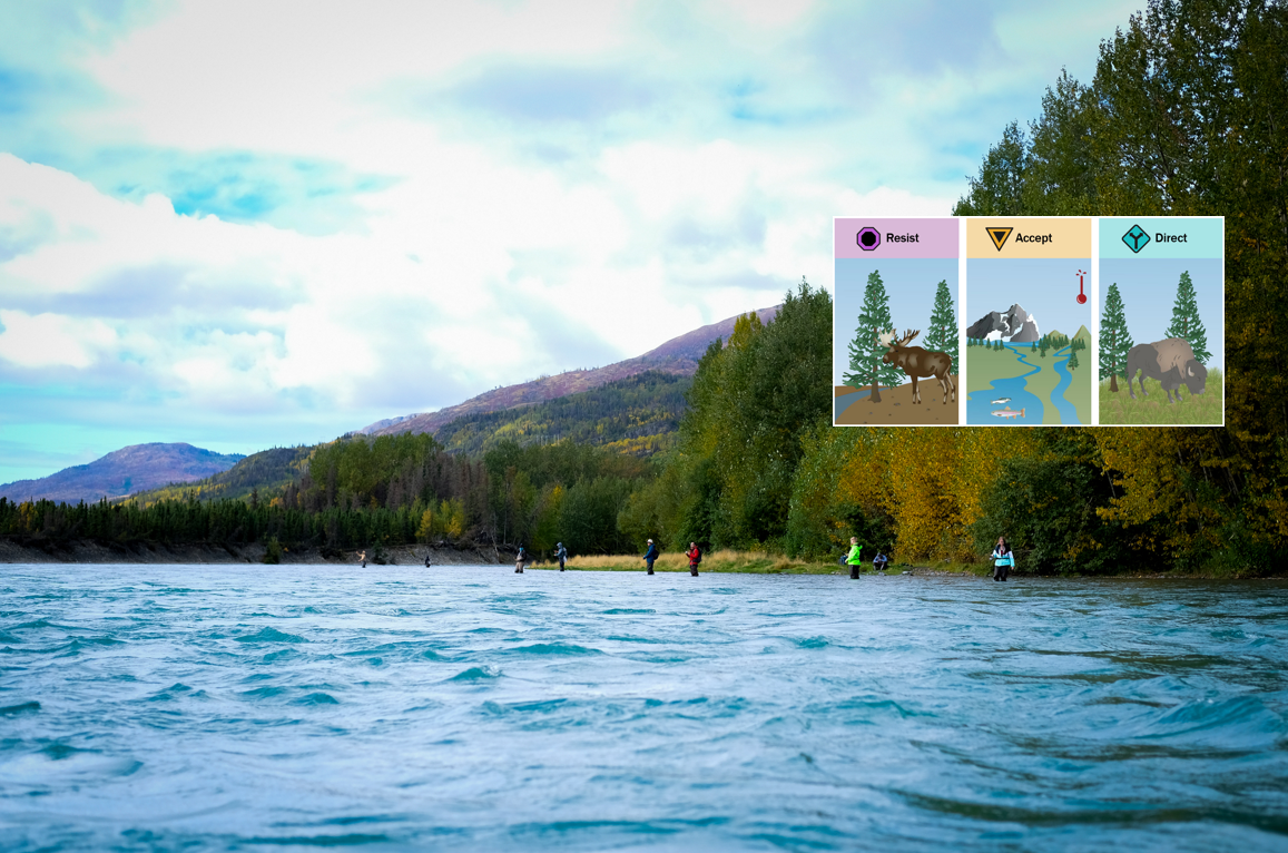 Photo of people standing in a river with mountains in background. A graphic showing Resist, Accept, Direct is overlaid.