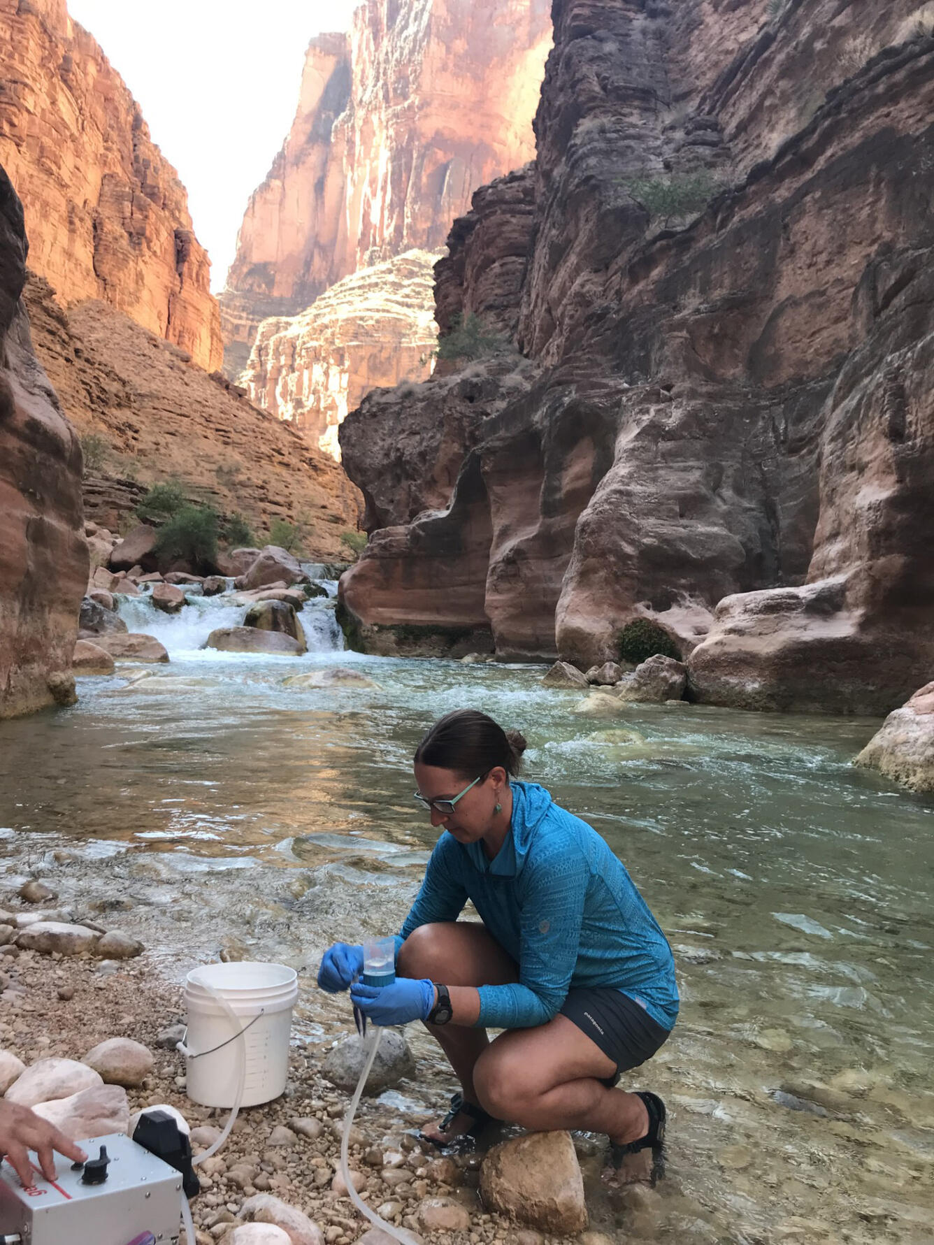 USGS scientist Kim Dibble handles eDNA equipment on the banks of Havasu Creek, Grand Canyon