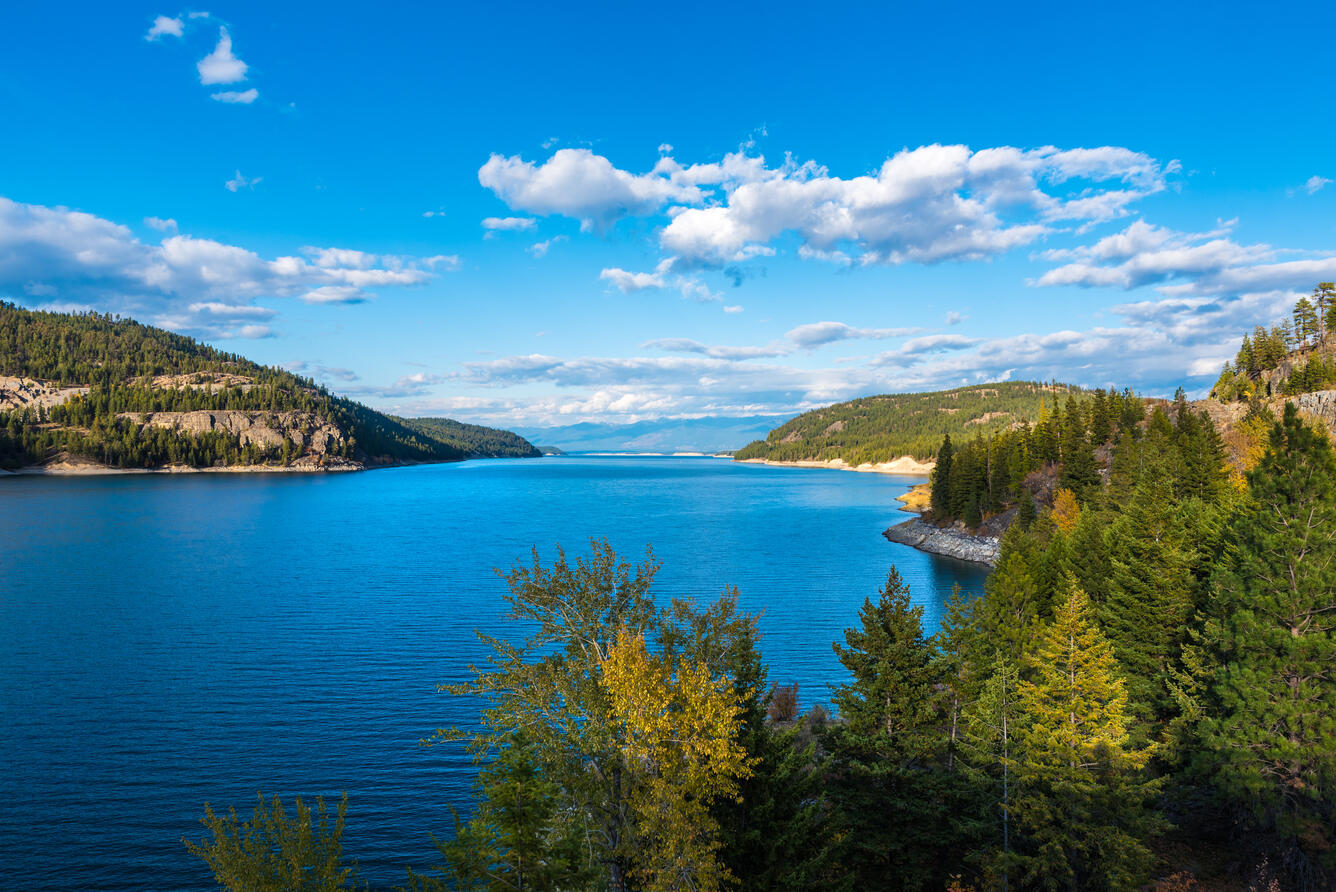An image of Lake Koocanusa with trees surrounding it