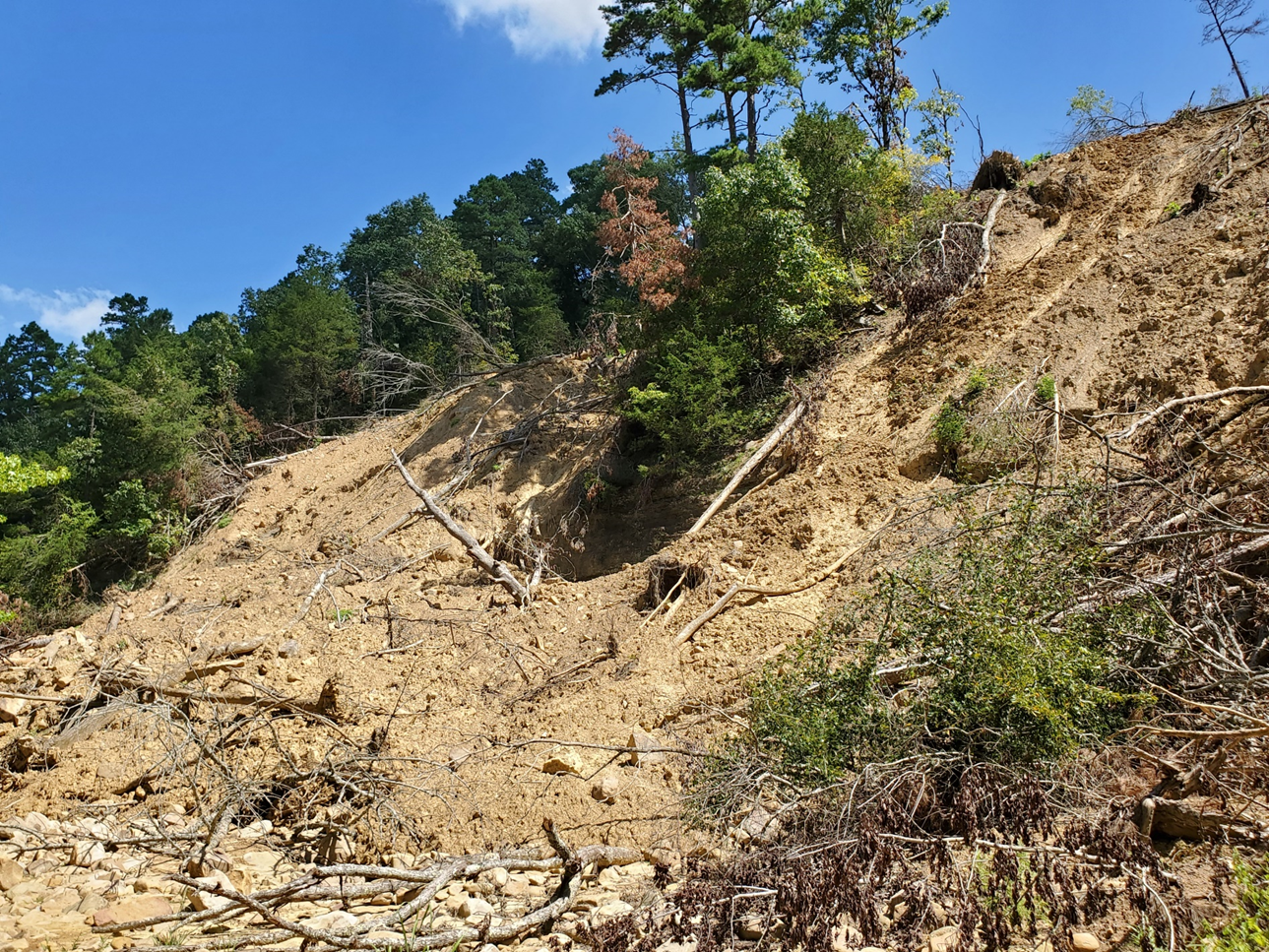 rocks and trees on hillside