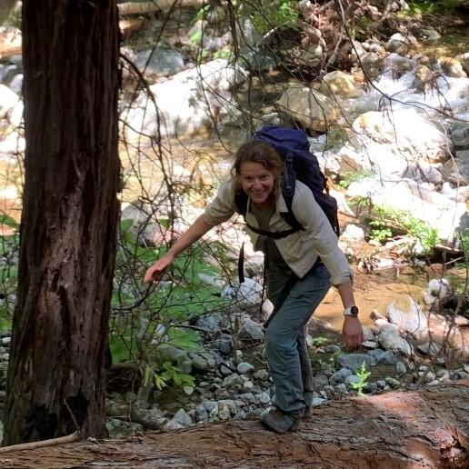 person walking near logs and rocks