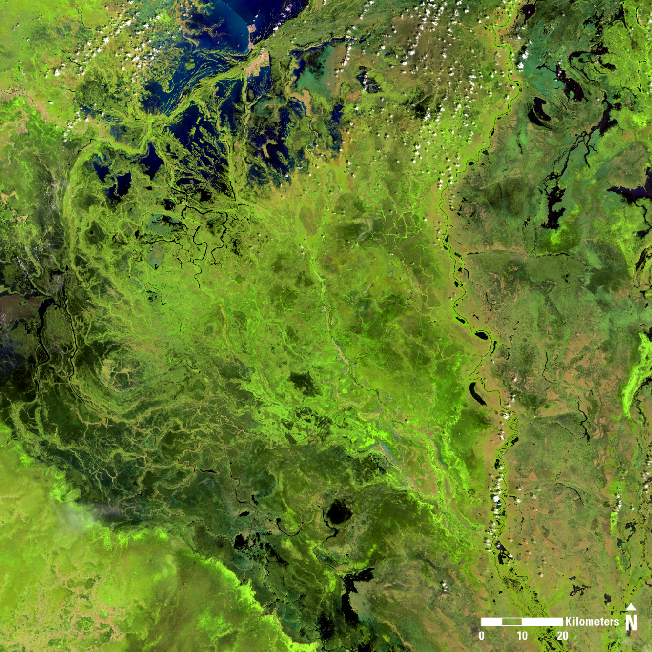 Landsat 8 image of South Sudan, showing portions of the states of Unity, Jonglei, and Warrup.