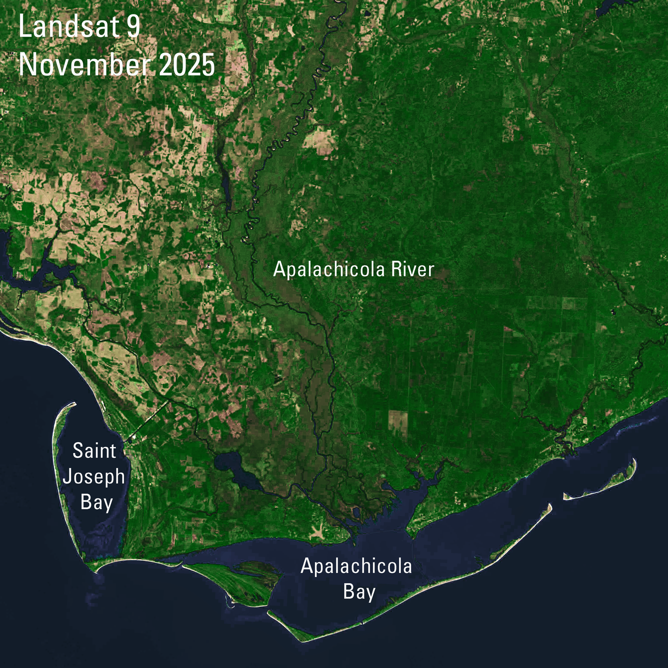 A satellite image of the Apalachicola River watershed and bay