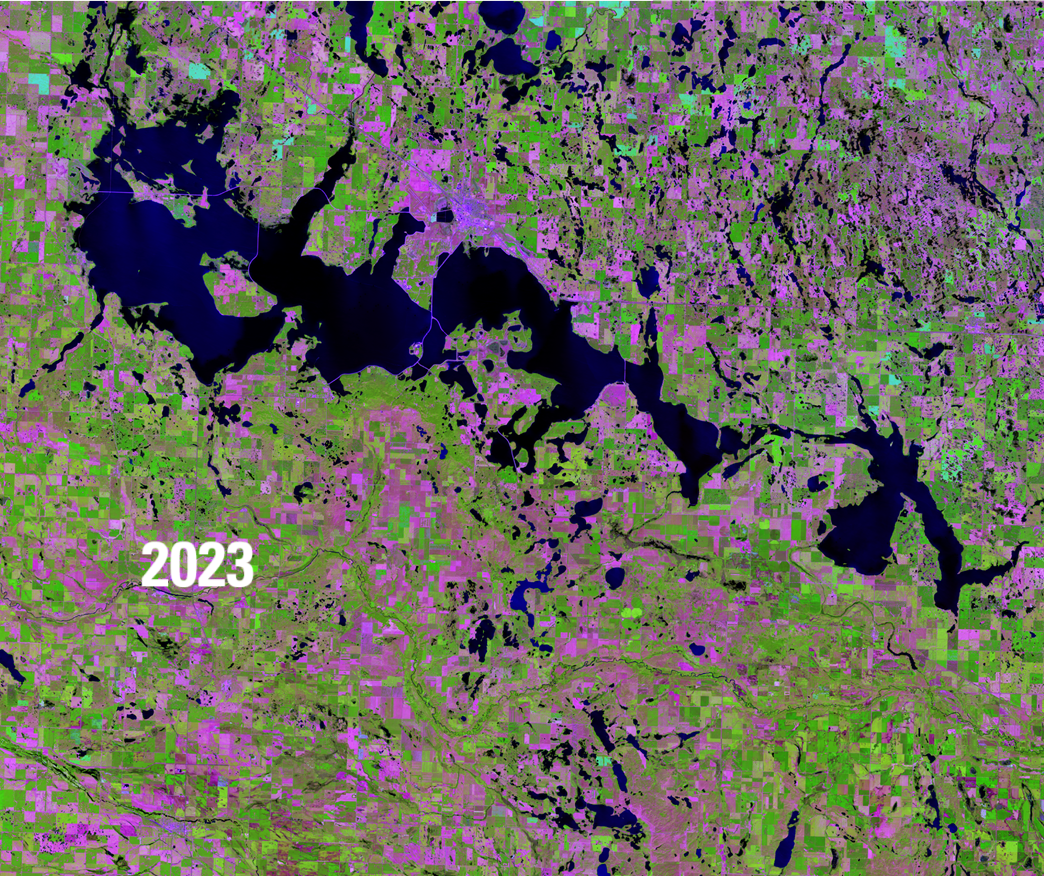 Satellite image showing water bodies in deep blue, green vegetation and pink barren areas