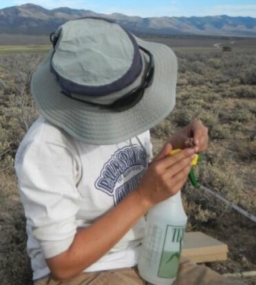 a field researcher holds a small piece of biocrust and a spray bottle, shrubs and mountains in the background