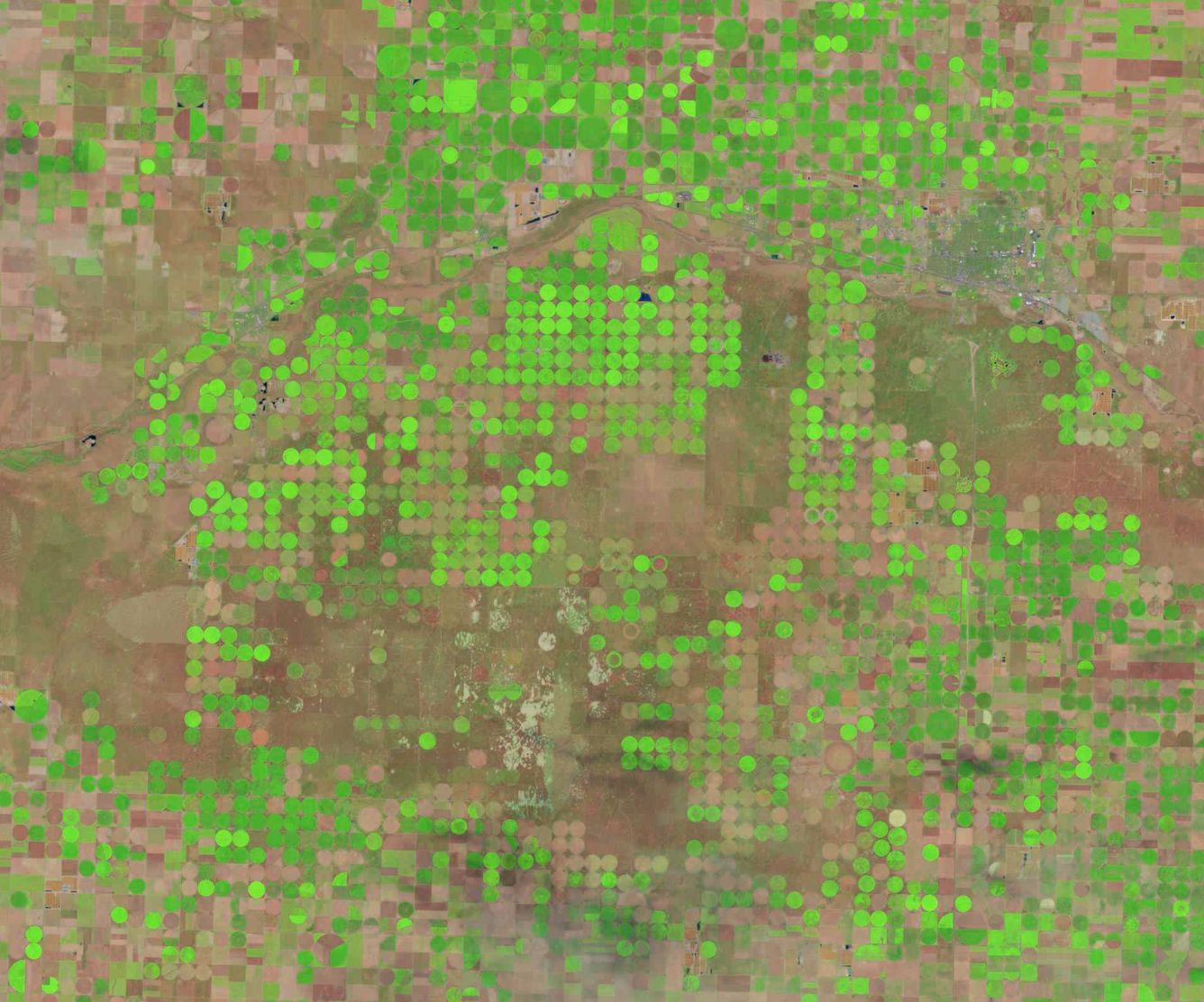 a Landsat satellite image showing center pivot irrigated fields in western Kansas