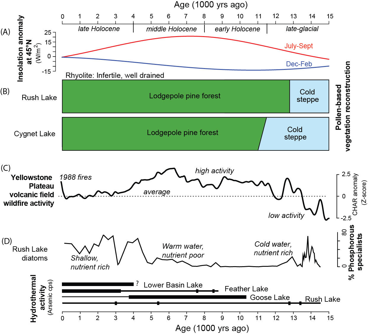 Lodgepole pine always dominated in Lower Geyser Basin despite climate fluctuations over the past 15,000 years